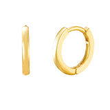 Earrings The Hague
