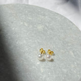 Ear studs Bari